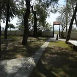 Pelagio *