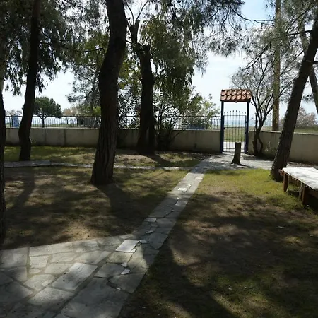 Pelagio *